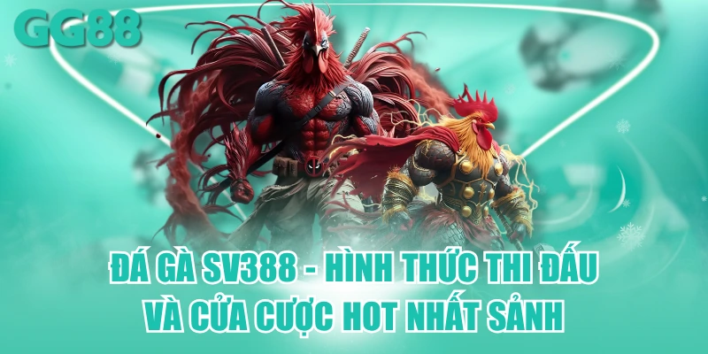 đá gà sv388