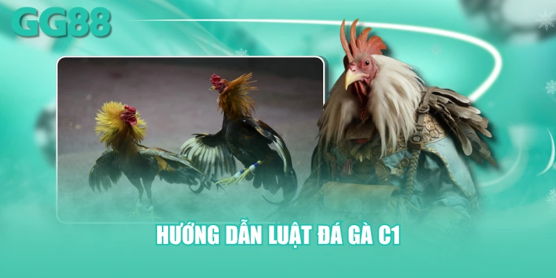 Hướng dẫn luật đá gà C1
