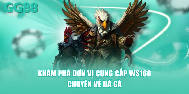Khám phá đơn vị cung cấp WS168 chuyên về đá gà